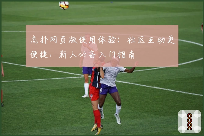 虎扑网页版使用体验：社区互动更便捷，新人必备入门指南