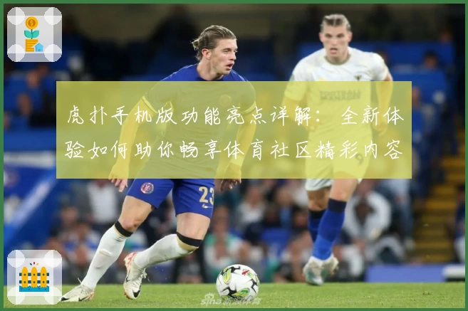 虎扑手机版功能亮点详解：全新体验如何助你畅享体育社区精彩内容