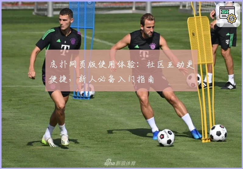 虎扑网页版使用体验：社区互动更便捷，新人必备入门指南