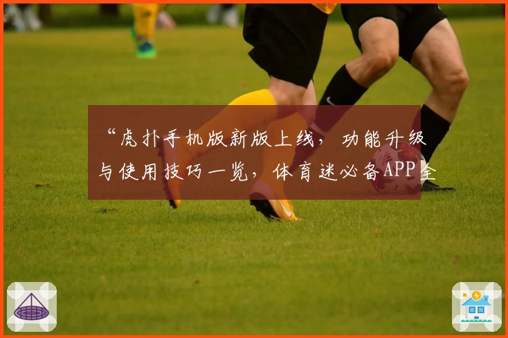 “虎扑手机版新版上线，功能升级与使用技巧一览，体育迷必备APP全面测评”